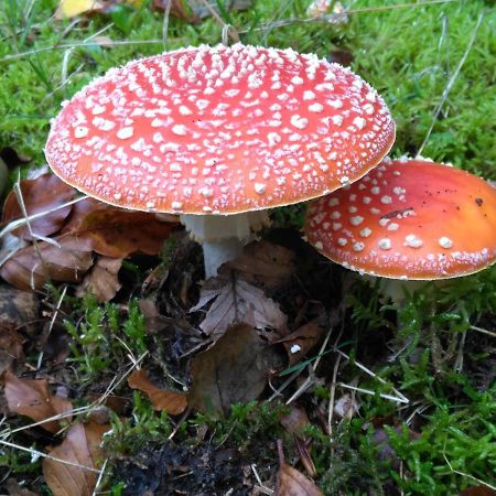 Апартаменты Moorhexe Gelbensande Экстерьер фото